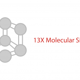 13x molecular sieve Interra Global
